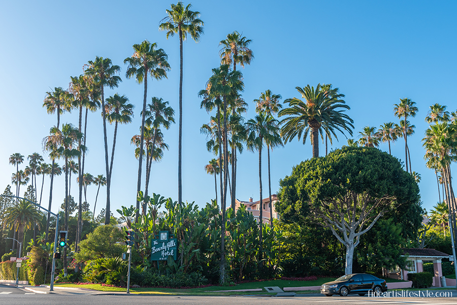 palm trees LA California